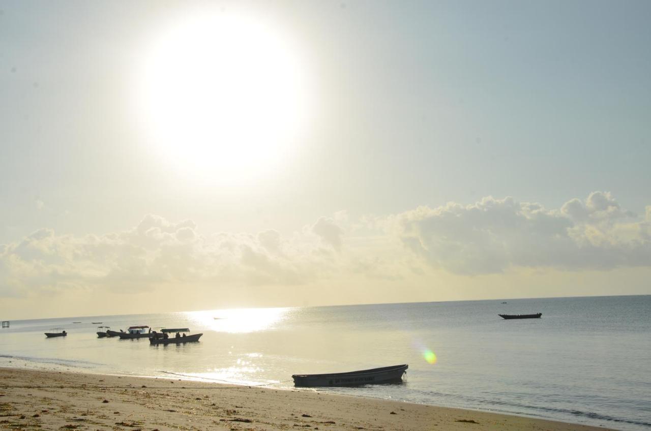 Lui Ushongo Beach House Pangani Esterno foto